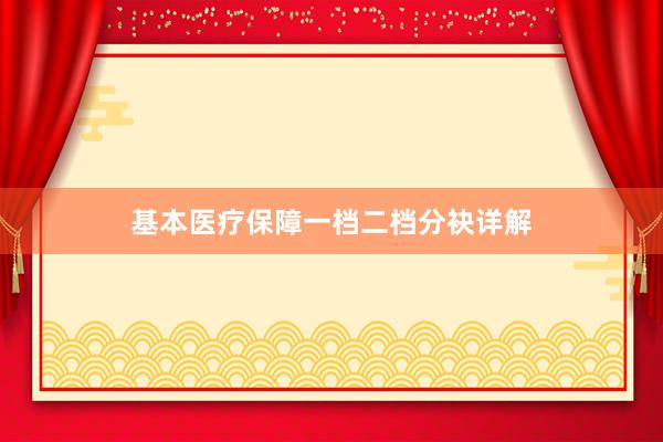 基本医疗保障一档二档分袂详解