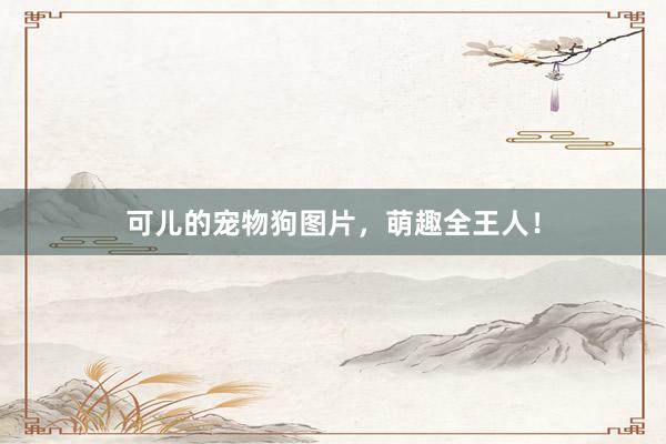 可儿的宠物狗图片，萌趣全王人！