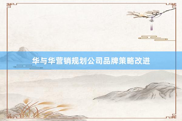 华与华营销规划公司品牌策略改进